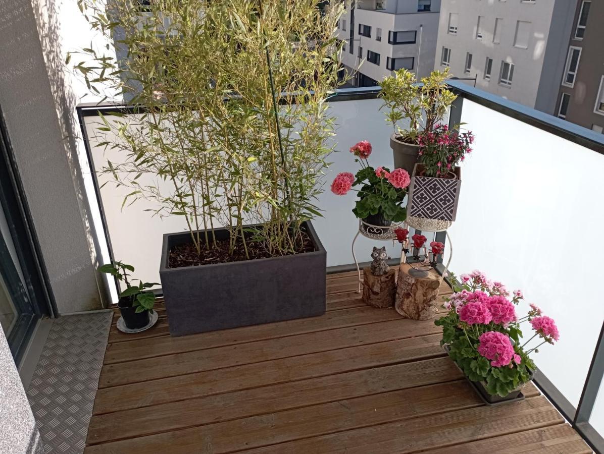 Chambre Nature Chez L'Habitant Strasbourg Exterior foto